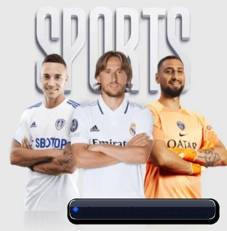 ziva-pandasports.com.cn APP